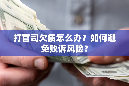 北京打官司欠债怎么办？如何避免败诉风险？