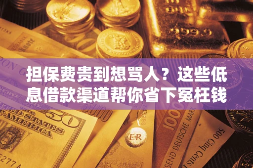 北京担保费贵到想骂人？这些低息借款渠道帮你省下冤枉钱