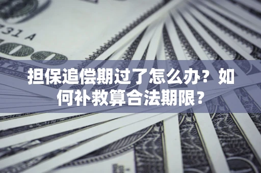 北京担保追偿期过了怎么办？如何补救算合法期限？