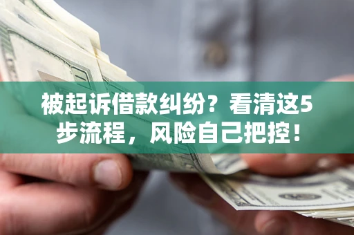 北京被起诉借款纠纷？看清这5步流程，风险自己把控！